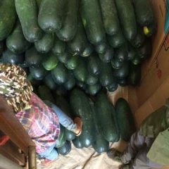 大家好我是南宁坛洛代办小马