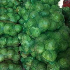 博爱孝敬镇蒋村各类蔬菜，走货快量大