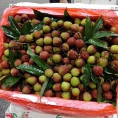 东莞市下桥水果批发市场代销荔枝龙眼