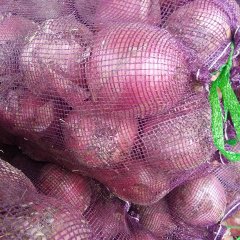 榆次洋葱 我地洋葱个头大，质量优质