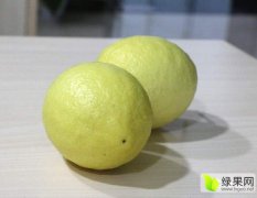 出售柠檬黄果，尤力克品种