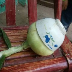 黄皮洋葱出售，规格80以上价格0.65-0.7斤