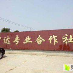 新野县宏达农作物种植专业合作社