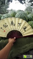 河南开封诚信代办各个产地西瓜