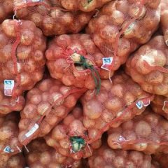 2017新野黄皮洋葱现已大量上市，果形好