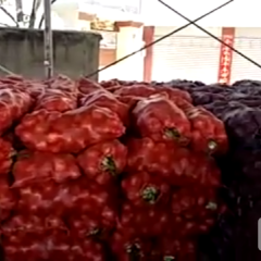 今年2017西昌黄皮洋葱代办来敲门