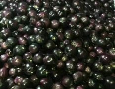 山东东昌府紫光圆茄子大量上市质量好颜色黑亮