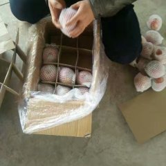 山西临猗冷库箱装红富士苹果