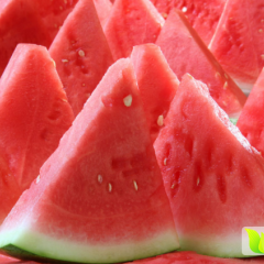 浙江温岭8424麒麟西瓜 小兰东方蜜1号