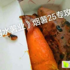 安次红薯 烟薯25，口感甜软