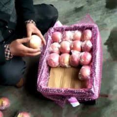 大量供应冷库箱装框装袋装水晶红富士纸夹膜富士苹果