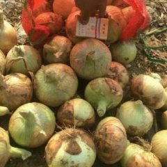 河南省南阳市新野县隶属三国古城