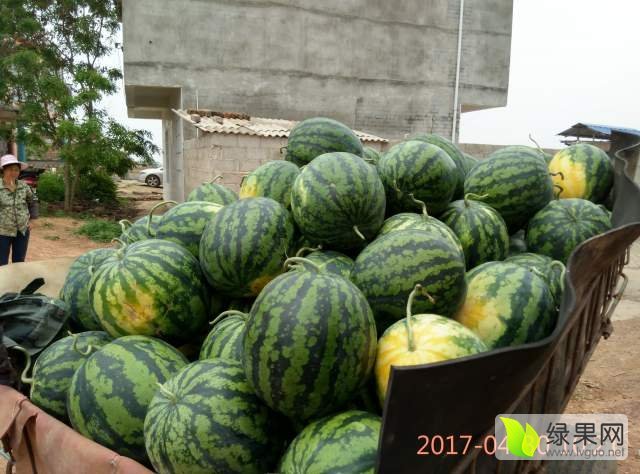 甜王系列价格