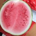湖北洪山大量收购8424西瓜，每天最最低三