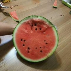 阜城西瓜 全国都可以发货！