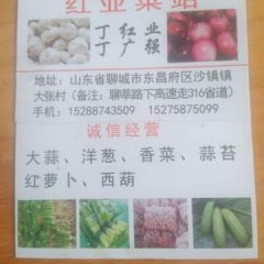 聊城洋葱外型扁平，个头大，极耐储存