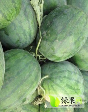 2017年河南睢阳龙卷风价格
