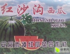 ”红沙沟西瓜“位于美丽的鸢都潍坊
