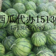 河北省衡水市阜城县西瓜代办处