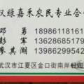 蒋氏精品西瓜为绿色无污染的产品