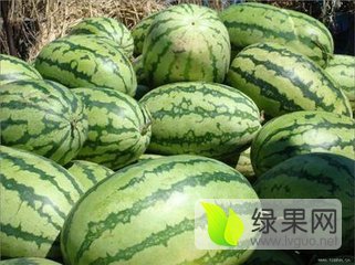 冠龙价格