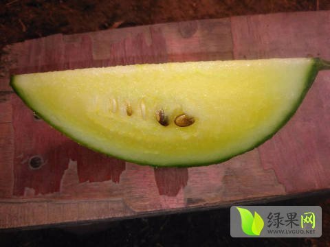 2017年江苏沭阳特小凤价格