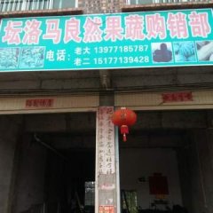 广西南宁市西乡塘区坛洛镇 黑皮冬瓜