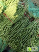 沂南的陆地洋葱大量上市了