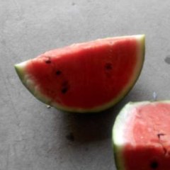 保定市清苑区温仁村有两千多亩西瓜