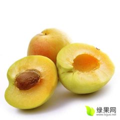 河北深州杏是入夏后第一个上市的鲜果
