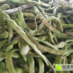 21年辽宁豆角价格行情 产地 中国辽宁豆角网 蔬菜商情网