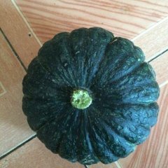 清苑香甜甜的黑皮南瓜上市啦