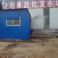 2017浚县甘蓝抓 一律不收任何费用