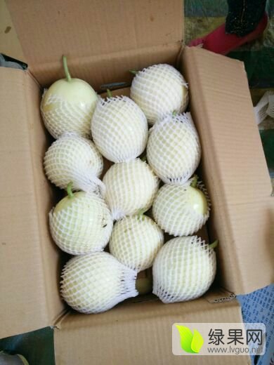 2017年陕西大荔脆宝价格
