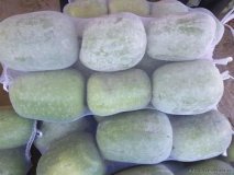 2019山东蔬菜大棚有冬瓜、西瓜