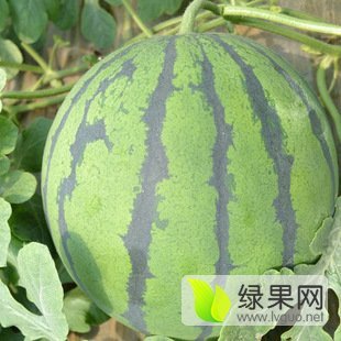 京欣价格