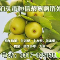 泊头鸭梨是河北省沧州市的特产