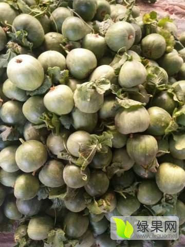 2017年山东费县绿宝价格