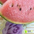 寒亭早春红玉西瓜 正宗固堤西瓜，糖分高