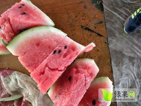 2017年湖南君山8424西瓜价格
