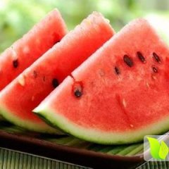 2017清苑西瓜5月中旬至7月中旬西瓜大量上市