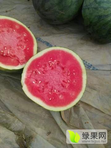 花皮无籽价格