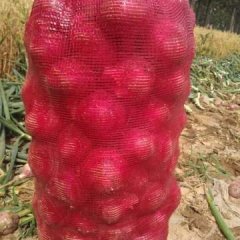 莘县专业代收，代存洋葱，大蒜，香菜