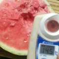 AA~夏邑8424、精品美都大量上市联系电话18103701222