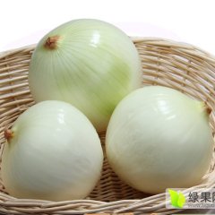 河南尉氏红皮洋葱 洋葱收成好，价格适中
