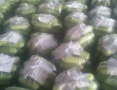 河北昌黎新集蔬菜市场西葫芦已大量上市
