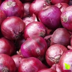 河南武陟本农场有30亩洋葱待出售，价格合理