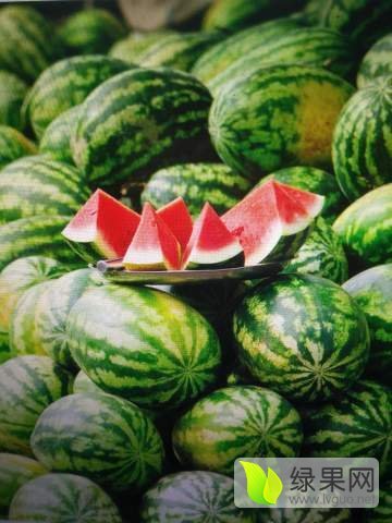 2017年山东东昌府京欣价格