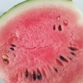 2017郯城蔬菜种植基地，有西瓜，冬瓜