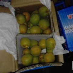 2017专业代销、批发、配送杏子